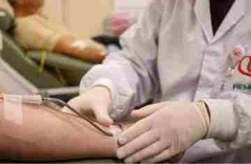 Rede Hemepar celebra Dia Nacional do Doador de Sangue com programação especial